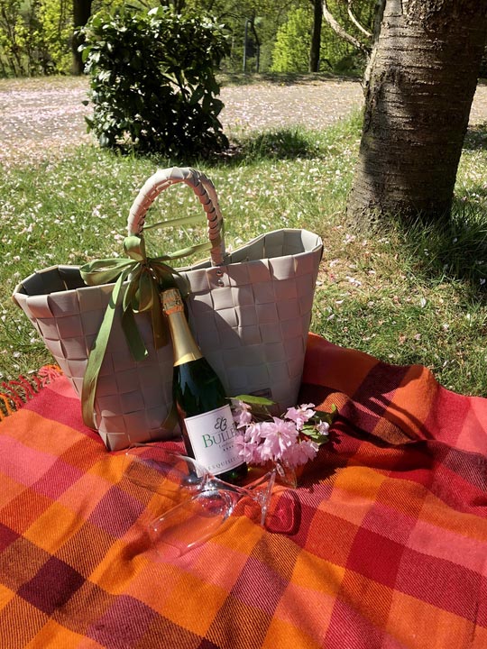 Picknick im Park mit Tasche, Sektflasche und Decke