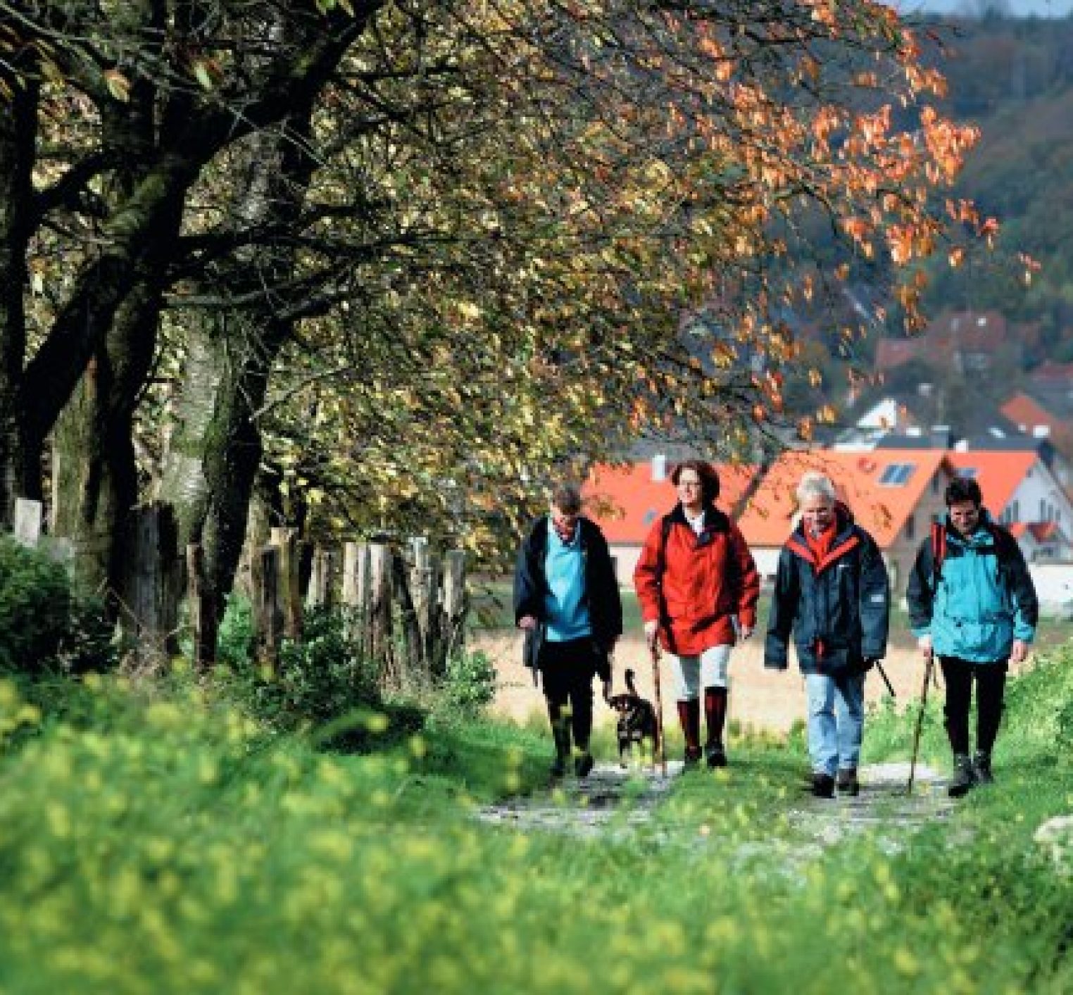 Herbstspaziergang in Hagen a.T.W.