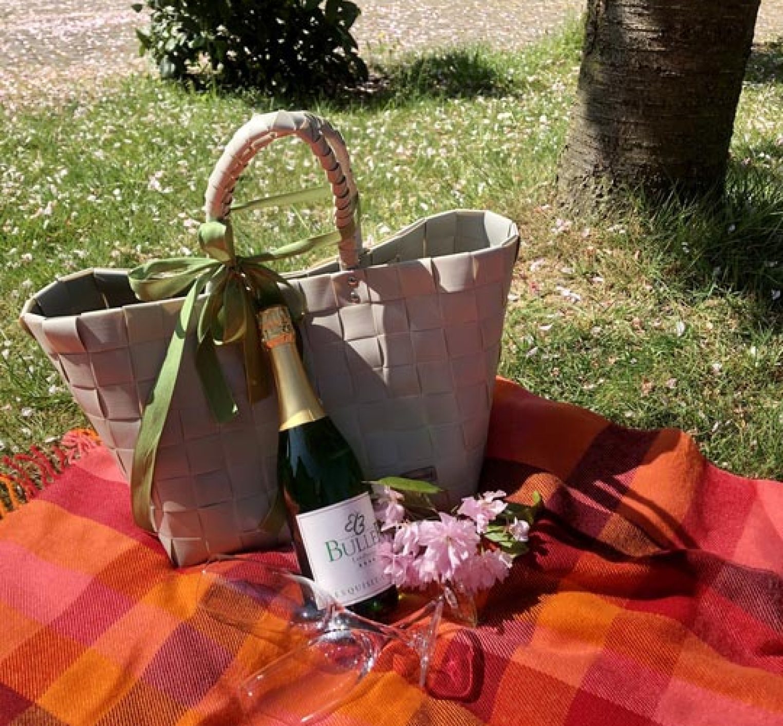 Picknick im Park mit Tasche, Sektflasche und Decke